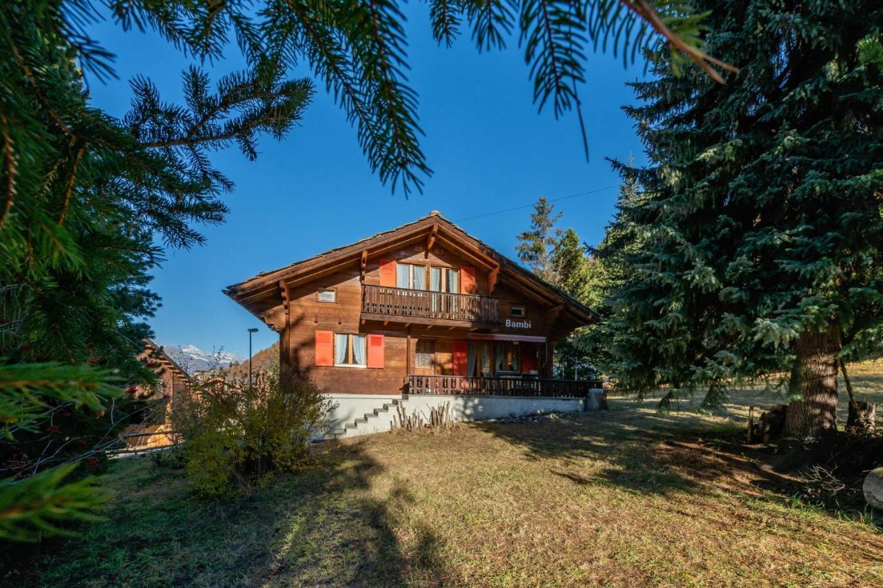 Chalet Bambi "Marchenhaft" Apartment Grächen Екстериор снимка